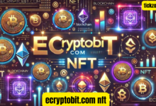 ecryptobit.com nft